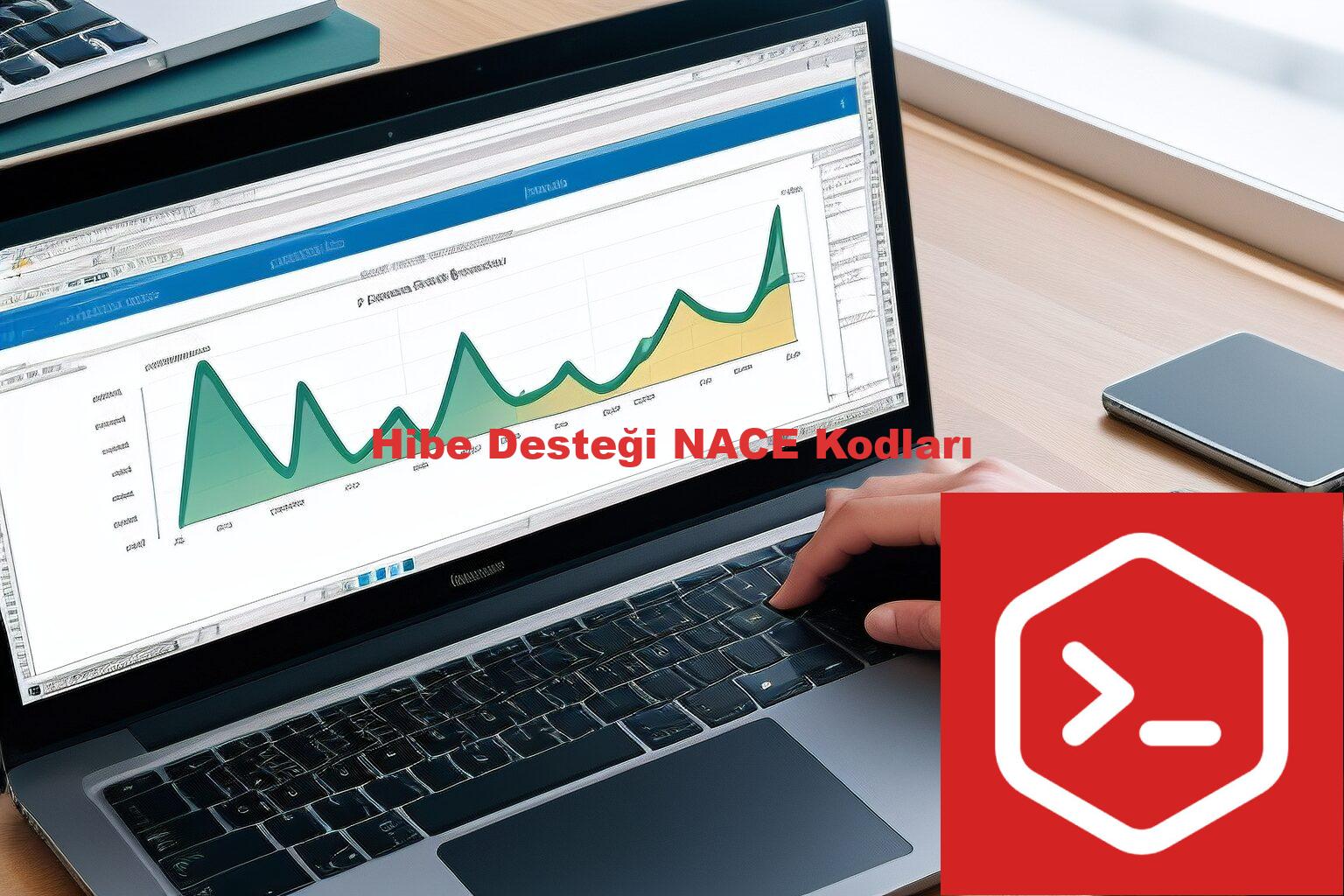 Hibe Desteği NACE Kodları