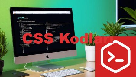 CSS Kodları