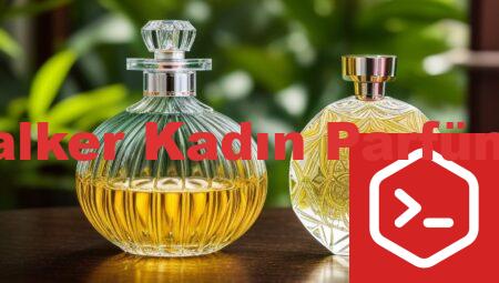David Walker Kadın Parfüm Kodları