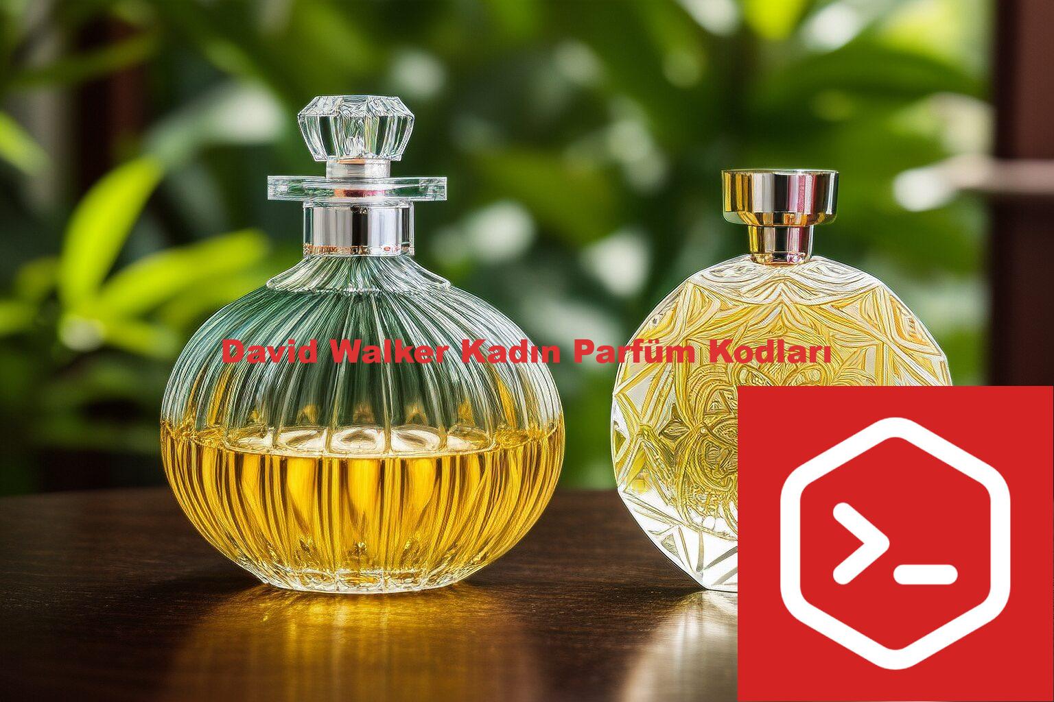 David Walker Kadın Parfüm Kodları
