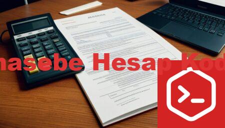 Muhasebe Hesap Kodları