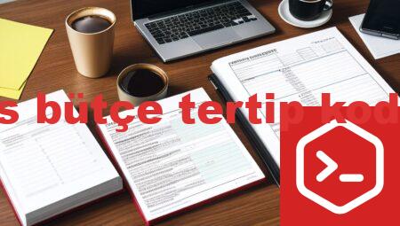 mys bütçe tertip kodları