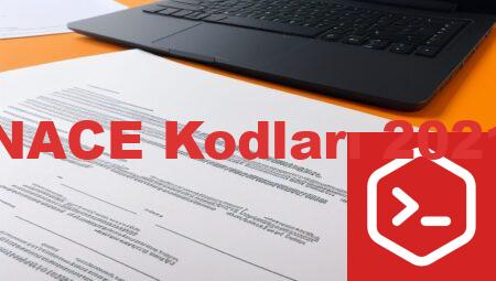 NACE Kodları 2021