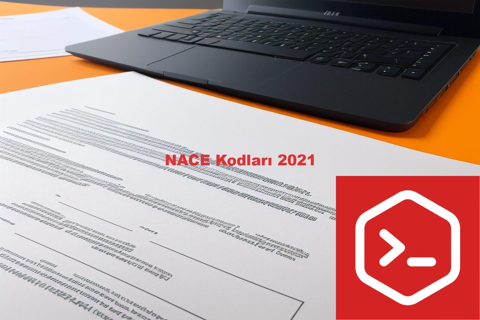 NACE Kodları 2021