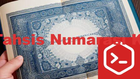 SGK Tahsis Numarası Kodları