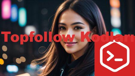 Topfollow Kodları