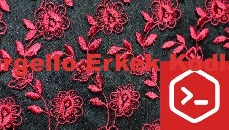 Bargello Erkek Kodları