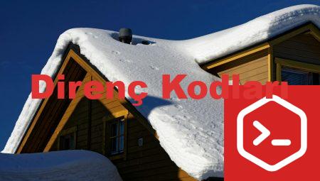 Direnç Kodları