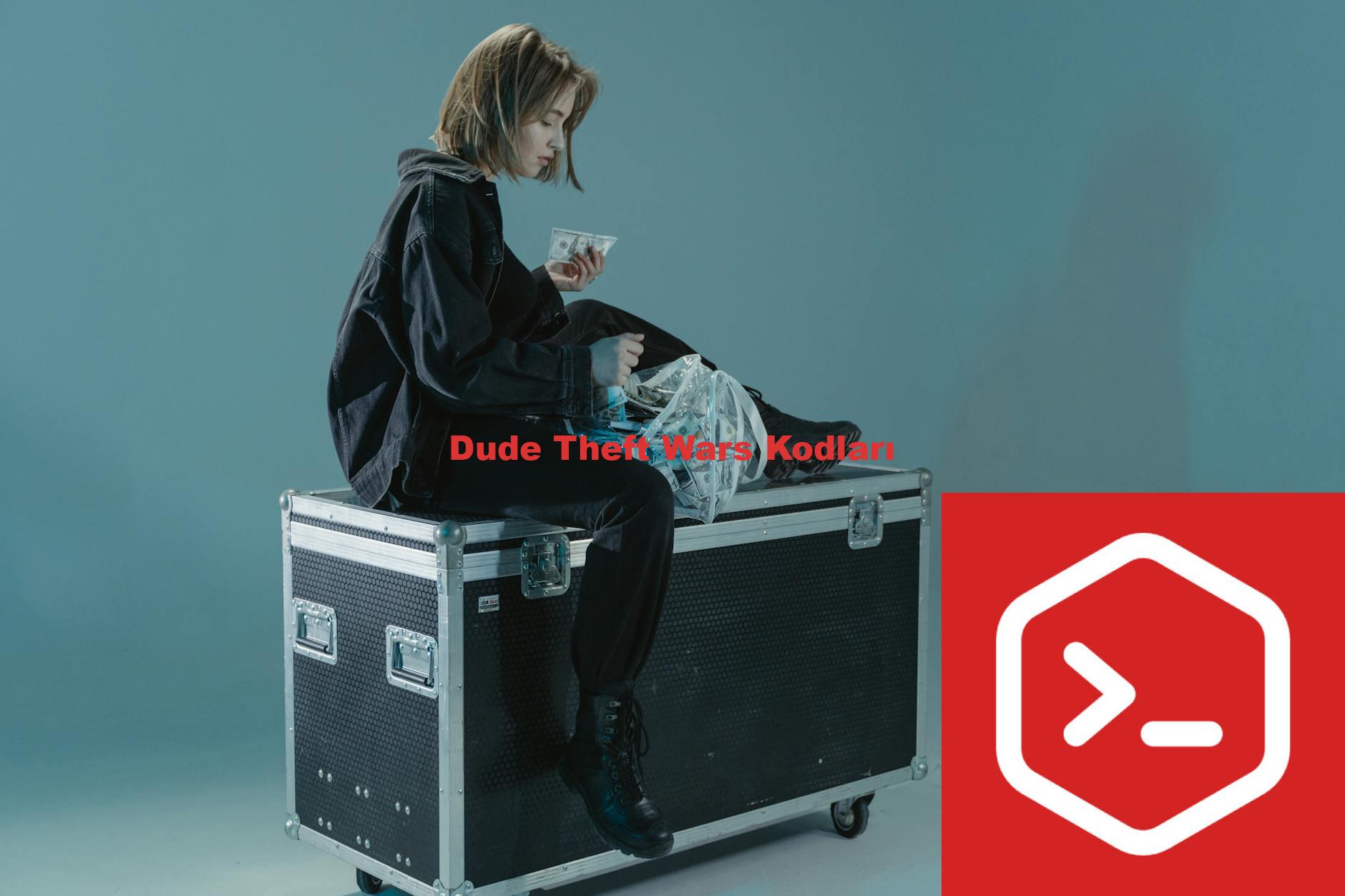 Dude Theft Wars Kodları