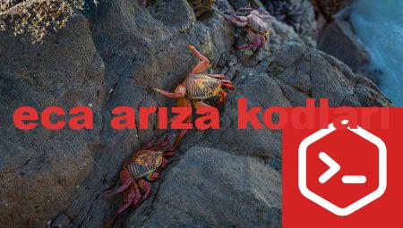 eca arıza kodları