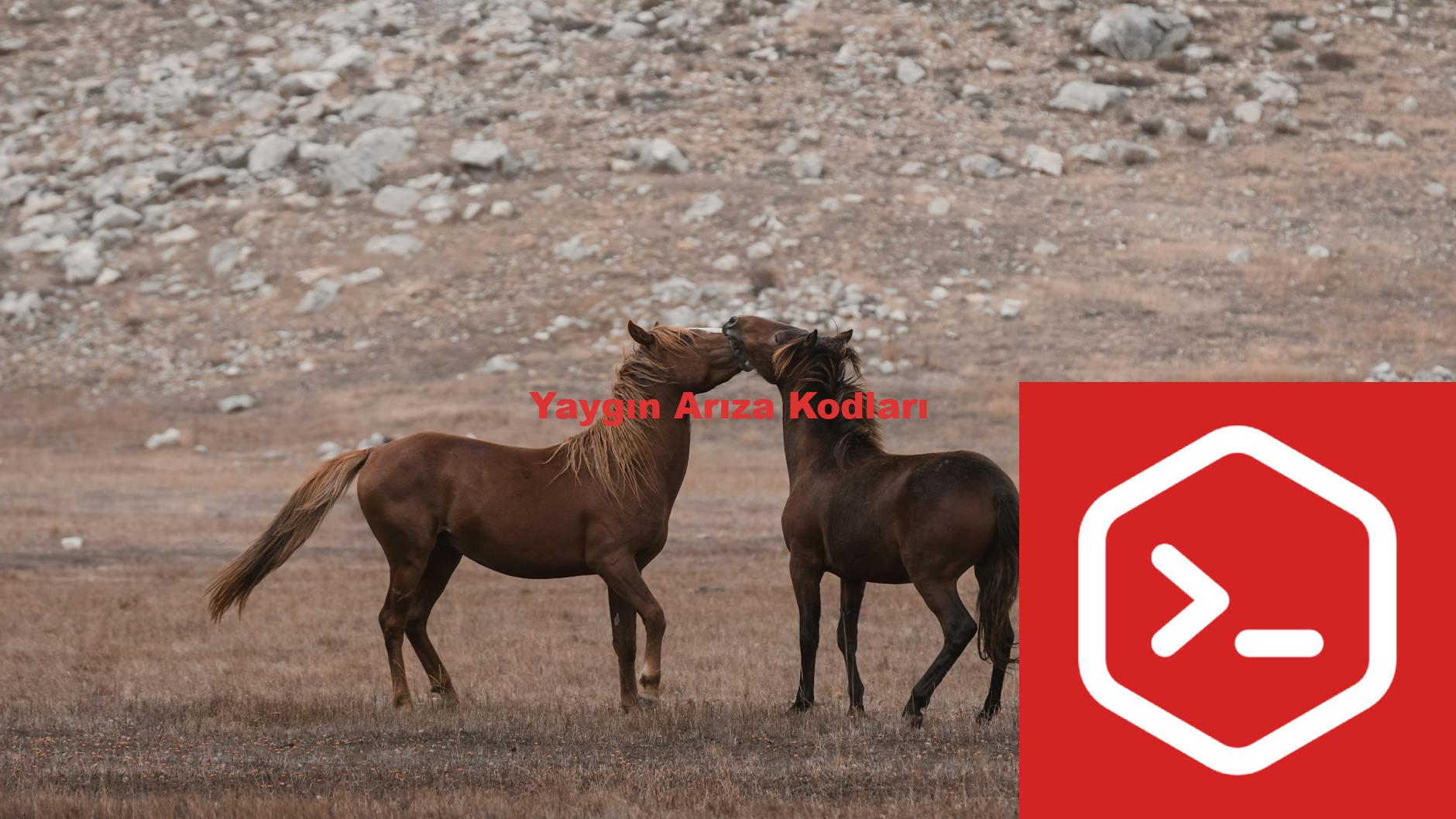 Yaygın Arıza Kodları