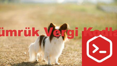 Gümrük Vergi Kodları