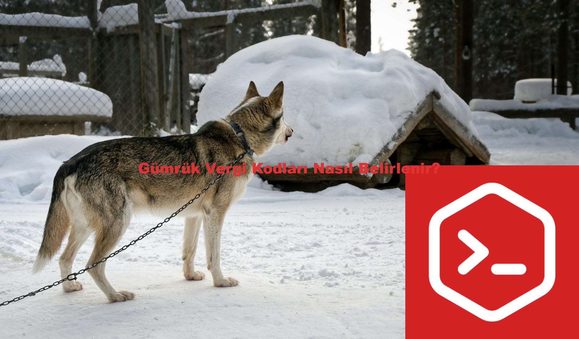 Gümrük Vergi Kodları Nasıl Belirlenir?