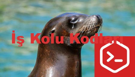 İş Kolu Kodları