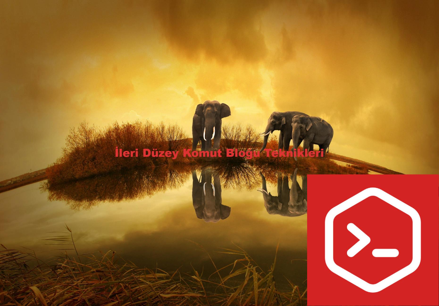 İleri Düzey Komut Bloğu Teknikleri