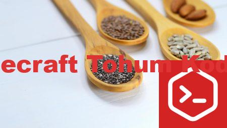 Minecraft Tohum Kodları