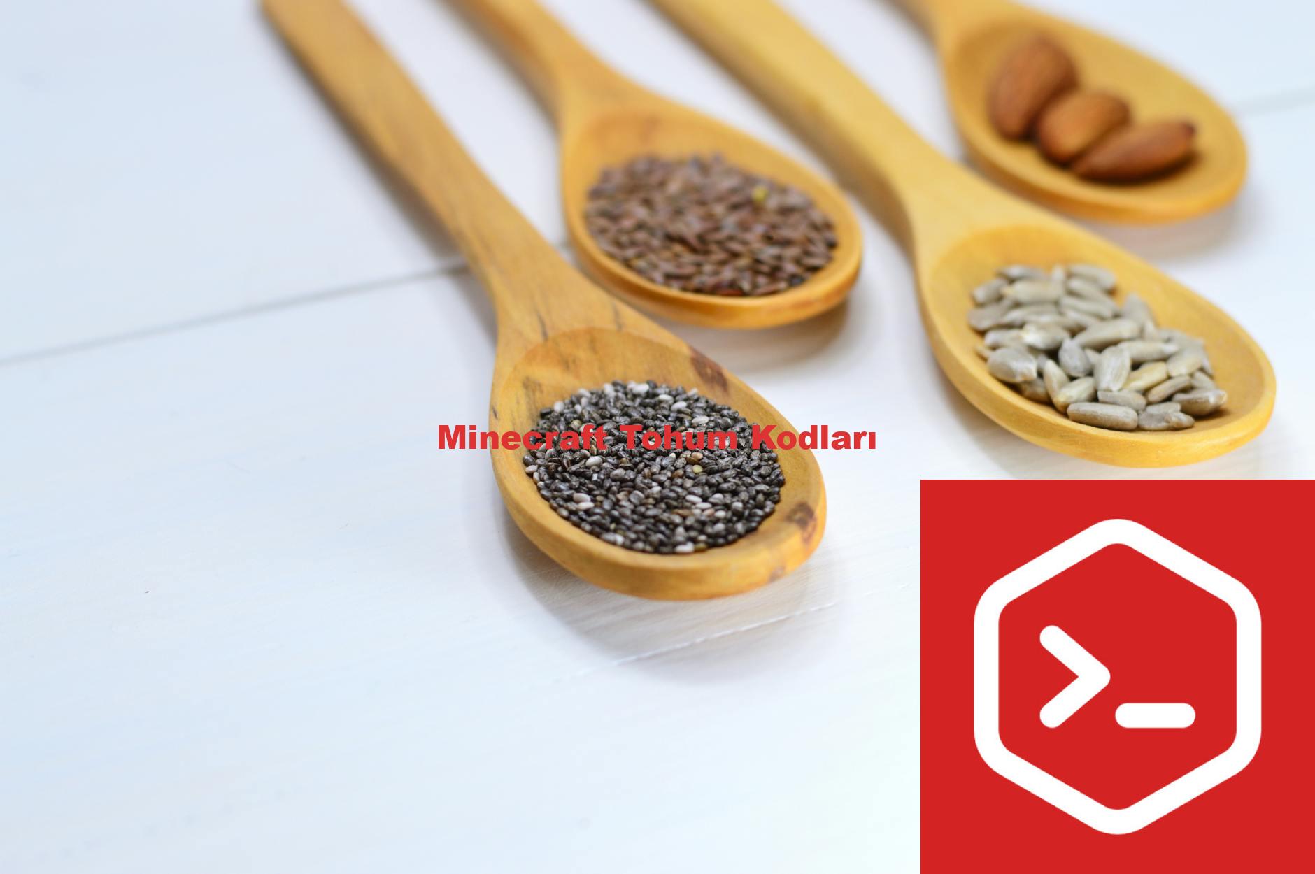 Minecraft Tohum Kodları
