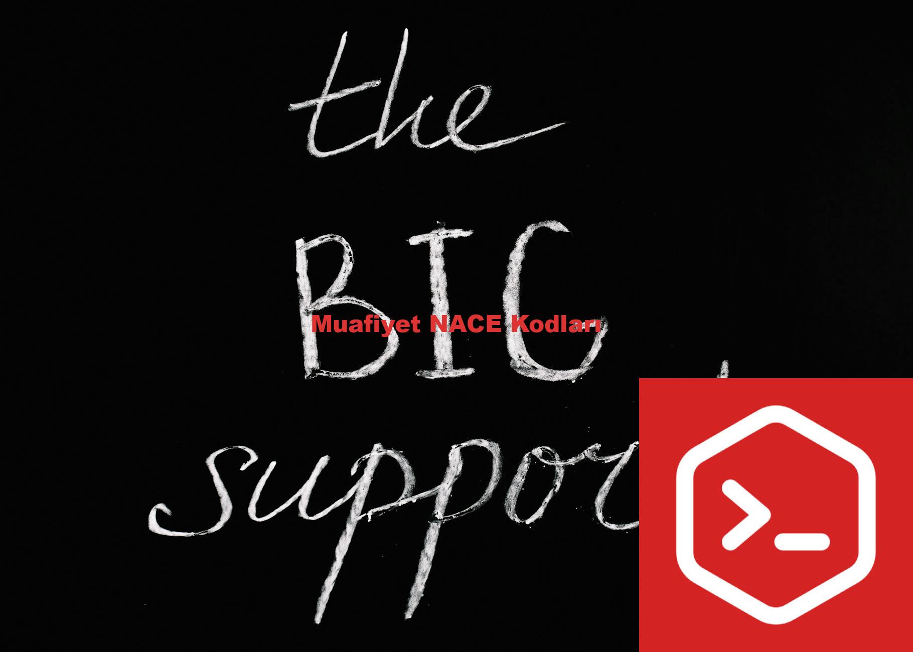 Muafiyet NACE Kodları