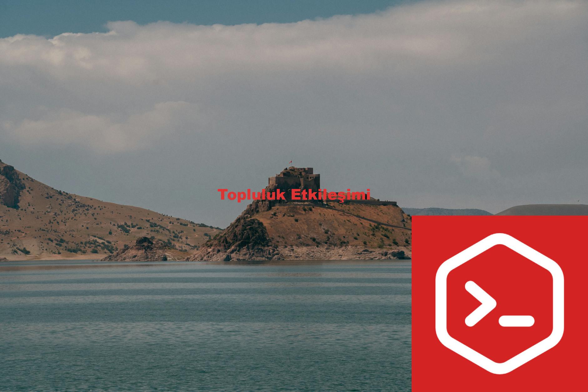 Topluluk Etkileşimi