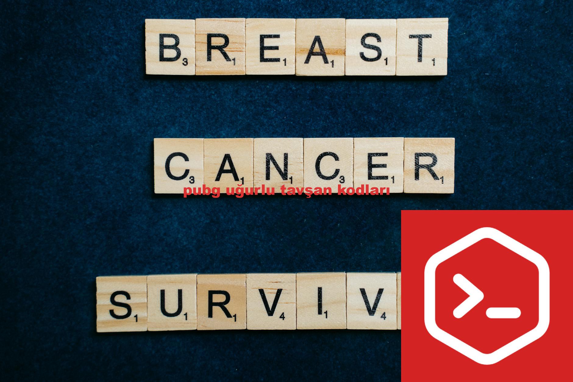 pubg uğurlu tavşan kodları