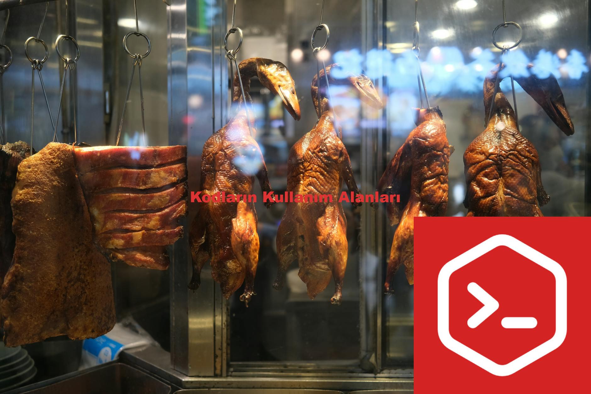 Kodların Kullanım Alanları