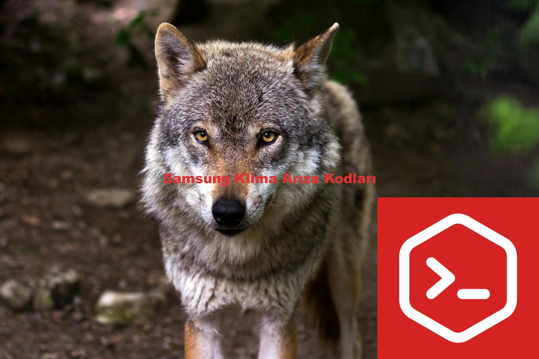 Samsung Klima Arıza Kodları