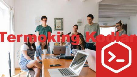 Termoking Kodları