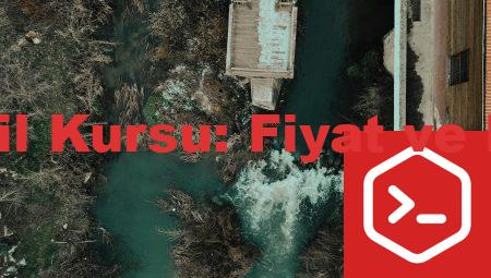 Maltepe’de Dil Kursu: Fiyat ve Kalite Analizi