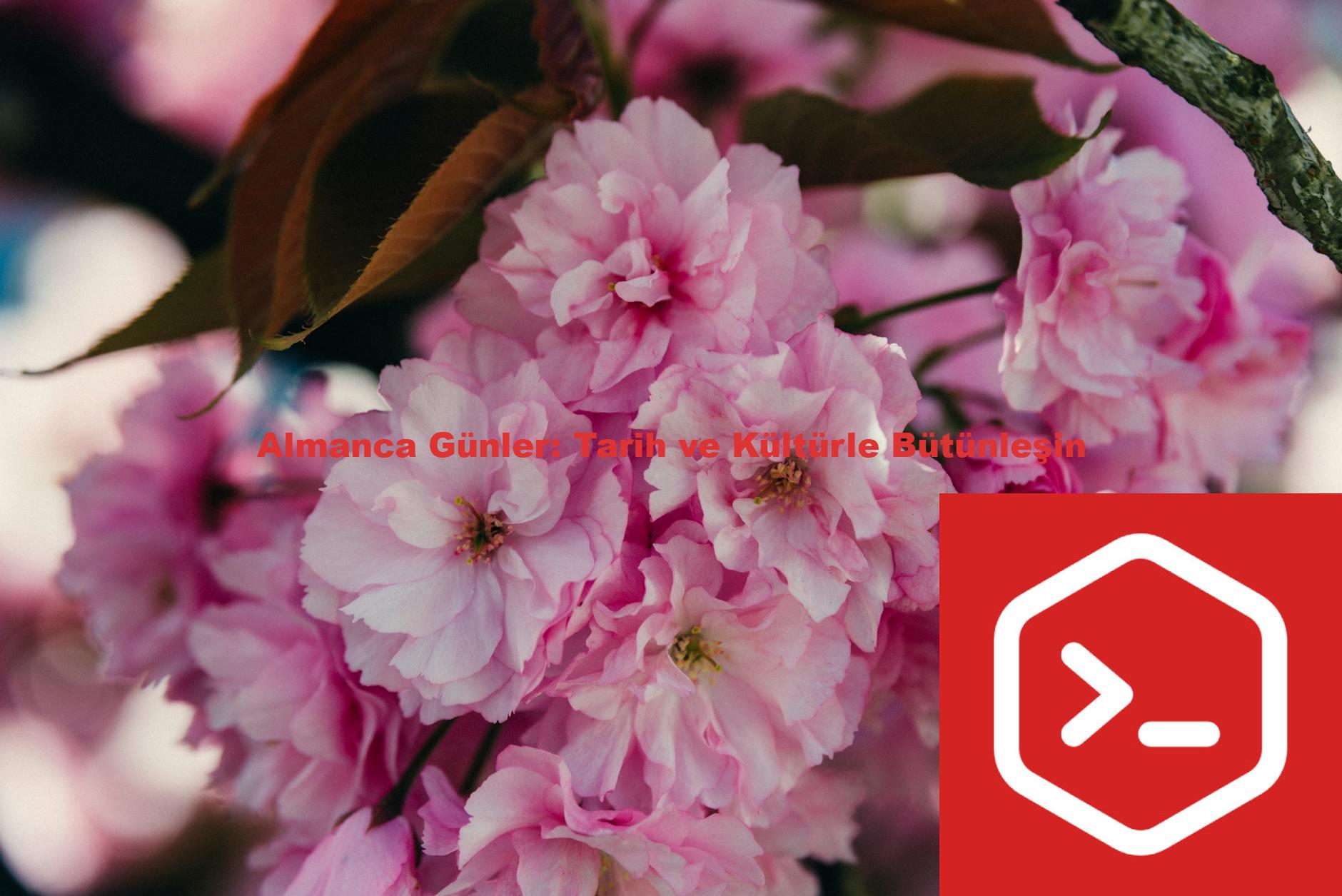 Almanca Günler: Tarih ve Kültürle Bütünleşin