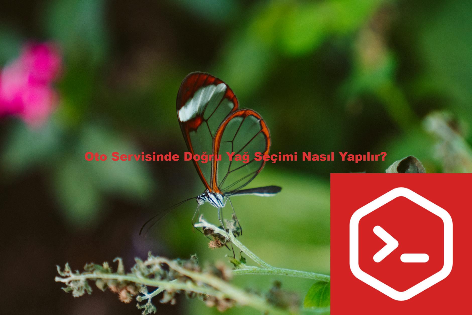 Oto Servisinde Doğru Yağ Seçimi Nasıl Yapılır?