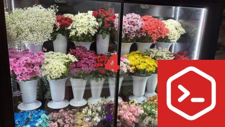 Floksia ile Çiçek Gönderirken Her Zaman Güvendesiniz